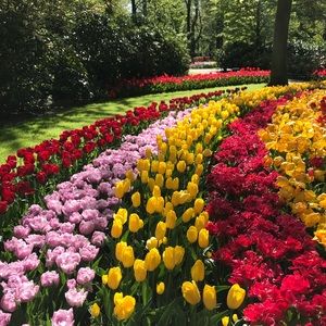 Meet your Posher, Marissa